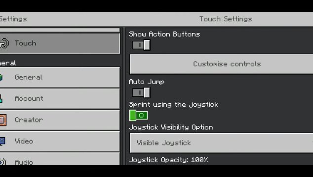 Screenshot of Enabling Customisation Option In Minecraft